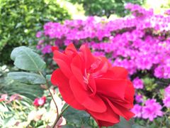 -苏州河梦清园环保主题公园