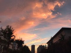 -陕西师范大学(雁塔校区)