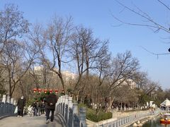 -莲湖公园