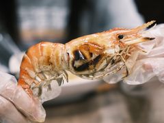 -建兴酒家(班塔通分店)