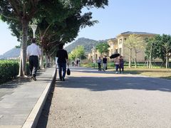 -风云岭森林公园
