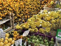 -三圣花乡旅游区