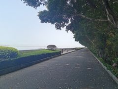 -大湾区中央湿地公园