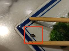 -京城小江南·北京烤鸭·江南土菜·白鱼(中关村店)