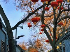 -北京国子监胡同