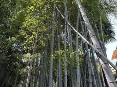 -穹六人间 people 6(岳阳路店)