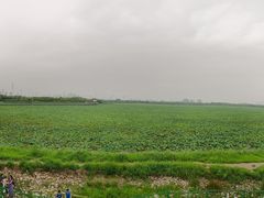 -天津东丽湖风景区