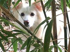 -沪东工人文化宫