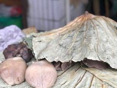 -东山矮马桶羊肉(太湖东山店)