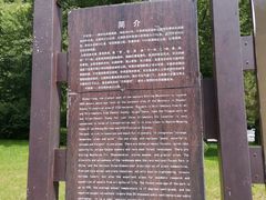 -牛背梁国家森林公园