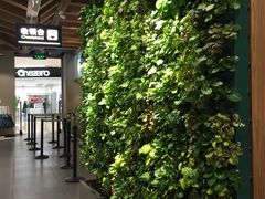 -凯德广场(西城店)