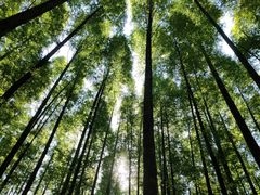 -山王坪喀斯特国家生态公园