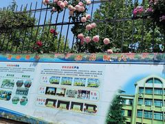 -山东省青岛第六十二中学