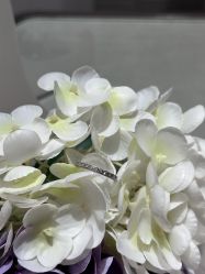 -I-PRIMO(深圳万象城店)