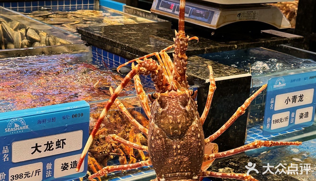 尊滴太适合商务宴请了吧!海鲨岛海鲜豆捞餐厅