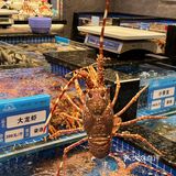 尊滴太适合商务宴请了吧!海鲨岛海鲜豆捞餐厅