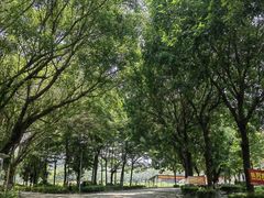 -广东科技学院(南城校区)
