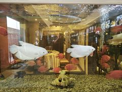 -骏莱海鲜鱼港(五角场店)