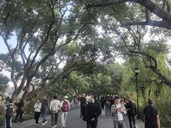 -西湖游船