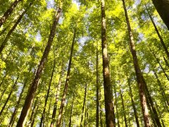 -山王坪喀斯特国家生态公园