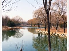 -大兴滨河森林公园