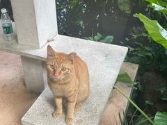 -广州兰圃