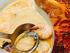 -青瓷火锅料理(西单大悦城店)
