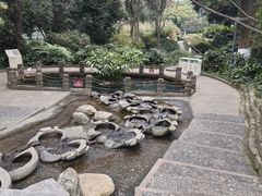 -成都市活水公园