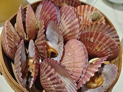 -山海菜馆·海肠捞饭·青岛菜(栈桥店)