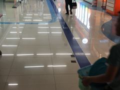 门面-奥林匹克体育中心游泳跳水中心