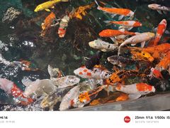 -石家庄海洋公园