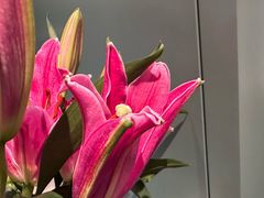 -南堂馆·新川菜(春熙路店)