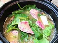 -马帮菜馆·美味野生菌