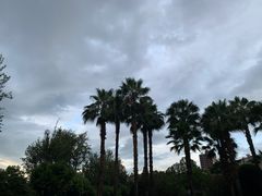 -翠湖宾馆·中餐厅