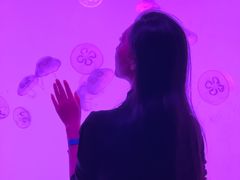 -沈阳海洋探索中心