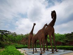 -莲花池公园