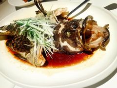 -鱼乐轩(珠江路店)