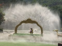 -西双版纳原始森林公园