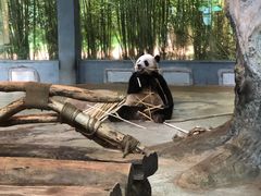 -海南热带野生动植物园