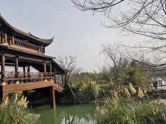 -西溪国家湿地公园