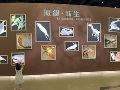 -香港科学馆