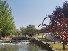 -青龙湖公园