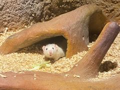 -北京野生动物园