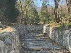 -阳台山自然风景区