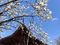 -云龙山