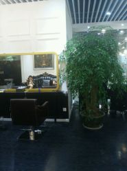 android_upload_pic-变画·发型STUDIO