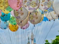 -上海迪士尼度假区