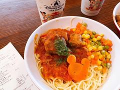 -迪士尼乐园停车场