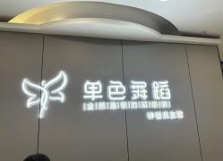 -单色舞蹈