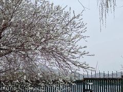 -颐和园
